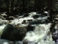 Yosemite NP